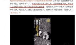 后厨爆料现场视频大全最新,揭秘厨房那些不为人知的秘密