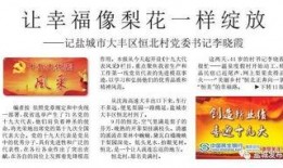 盐城日报爆料内容最新版,聚焦重大事件，揭秘背后真相
