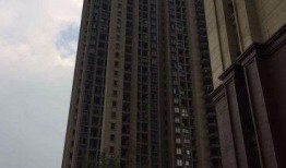 丰隆区最新爆料,揭秘神秘项目背后的惊人真相