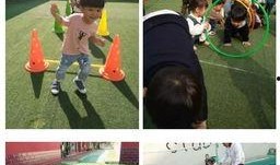 幼儿园最新爆料,揭秘孩子们快乐成长的秘密角落