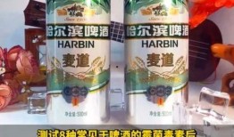 强爽啤酒爆料视频大全最新,揭秘行业幕后真相